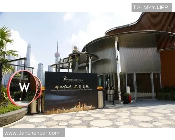 信阳篮球场的魅力与激情探索城市运动新风尚